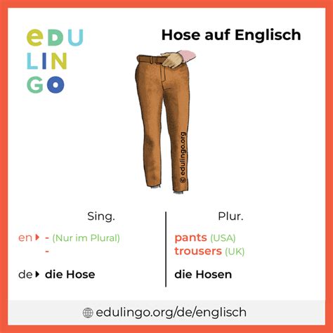 hose englisch|HOSE definition and meaning 